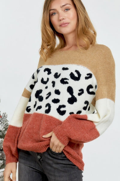 Color Block Printed Round Neck Sweater