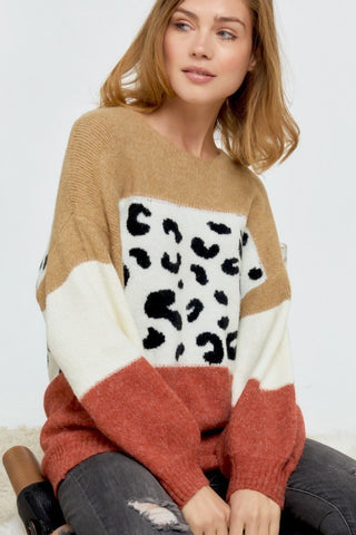 Color Block Printed Round Neck Sweater